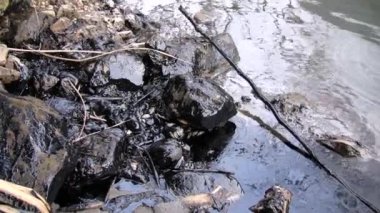Petrollü su kirliliği videosu 