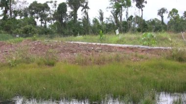 arazi, yeşil çayır pano işaretli, video 