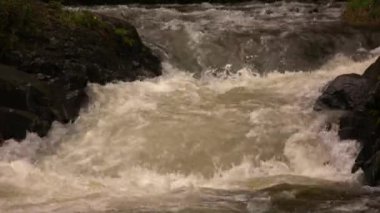 Doğadaki nehir suyu akışı, video  