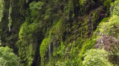 4k zaman aşımlı şelale videosu, su sıçrıyor.