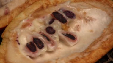 Kakao kabuğunun videosu, Theobroma kakao çekirdekleri, kapatın. 