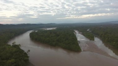 Tropikal orman ve nehir üzerine hava videosu 