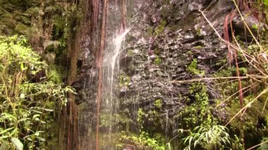 Kayalık taşların üzerindeki şelale videosu 