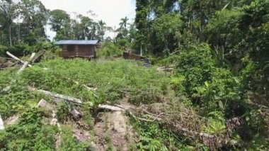 İnsansız hava aracı videosu, ağaçlarla kaplı orman manzaralı ahşap kulübe. 