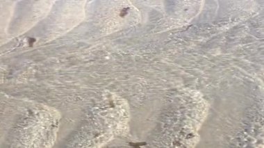 Su akışı, deniz dalgalanması, yavaş çekim videosu 