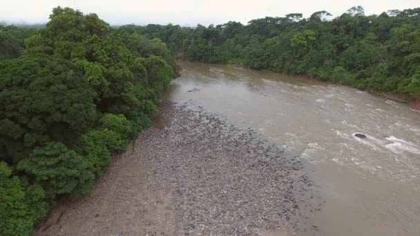 Vista Aérea Vídeo Paisagem Com Árvores Fluxo Água Rio Marrom — Vídeo de Stock