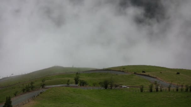 Time Lapse Video Van Mist Wolken Ecuador Bergen Weg Met — Stockvideo