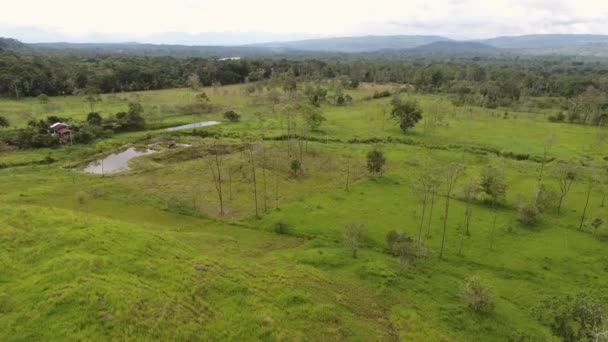 Drone Video Paisaje Forestal Con Árboles Prados Hierba Montañas — Vídeos de Stock