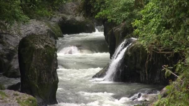 Video Flusso Del Fiume Vapore Acqueo Nella Foresta — Video Stock