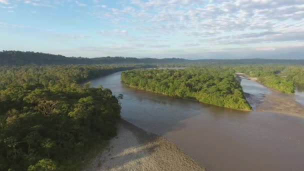 Vidéo aérienne sur la forêt tropicale et la rivière 