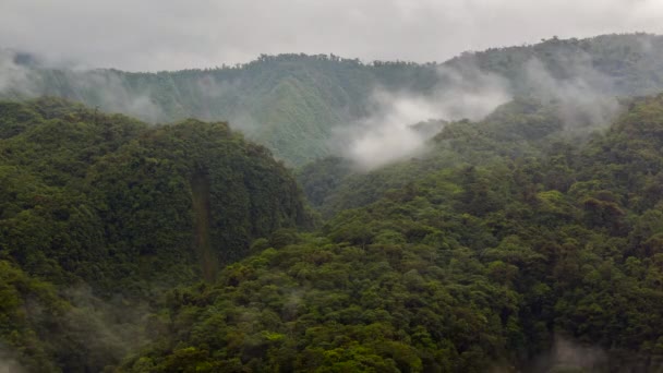 厄瓜多尔亚马逊河流域的热带雨林黎明时分在雾气中消失的时差视频 — 图库视频影像