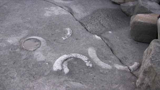 vidéo de texture de surface de falaise grise 