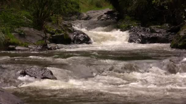 Corso Acqua Fluviale Natura Video — Video Stock