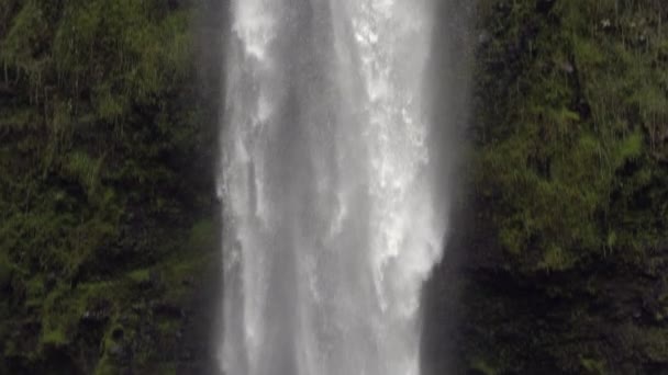 Zeitlupenvideo Von Einem Großen Mächtigen Wasserfall Wilder Natur — Stockvideo