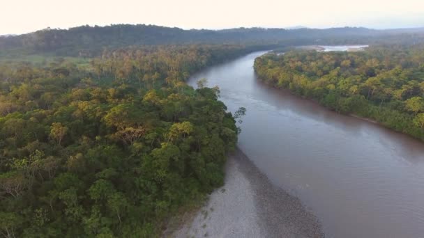 Légi Felvétel Trópusi Erdőkről Folyókról — Stock videók