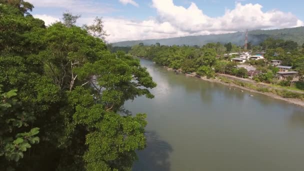 Drohnenvideo Der Landschaft Mit Bäumen Und Fluss — Stockvideo