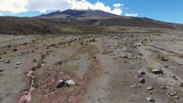 Vídeo Paisaje Del Volcán Cotopaxi Ecuador — Vídeos de Stock