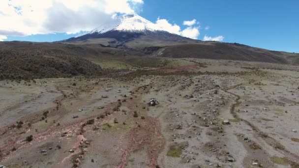 Vidéo Paysage Volcan Cotopaxi Équateur — Video