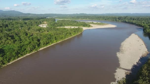 Orman Nehir Üzerine Insansız Hava Aracı Videosu — Stok video