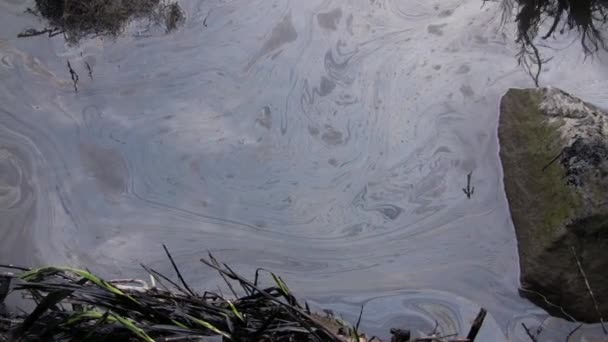 Video Water Pollution Oil — Stock Video