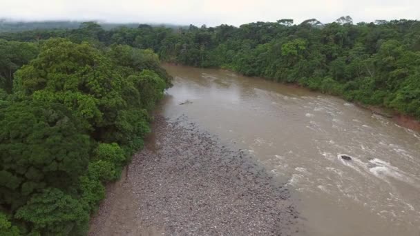 木や茶色の川の水の流れと風景の空中ビデオ — ストック動画