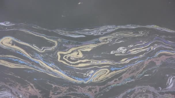 Wideo Zanieczyszczenia Wody Olejem — Wideo stockowe