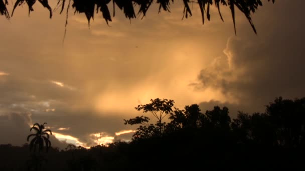 Time Lapse Video Tramonto Arancio Cielo Alberi Tropicali — Video Stock