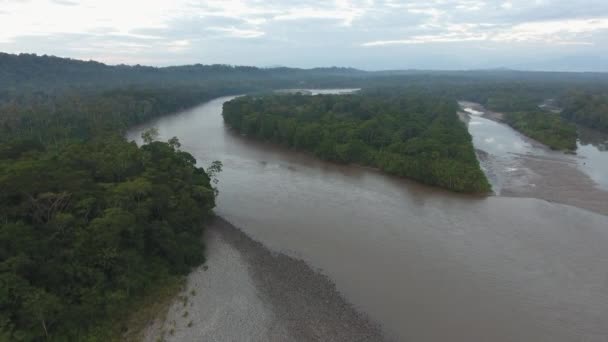 Tropikal Orman Nehir Üzerine Hava Videosu — Stok video