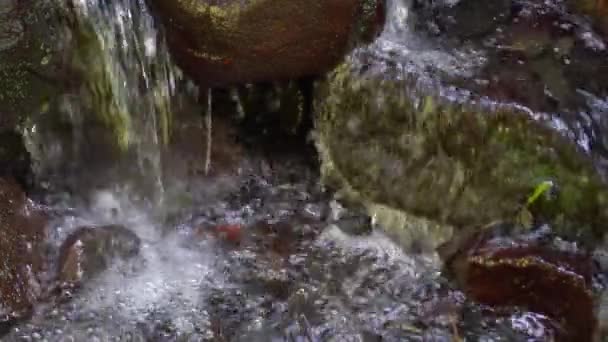 Slow Motion Video Water Dripping Rocks River — Stock Video