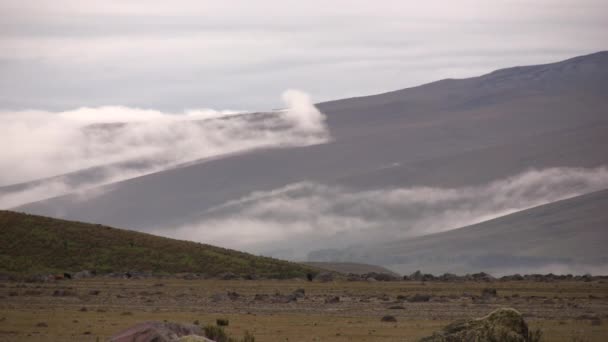 Βίντεο Από Cotopaxi Ηφαίστειο Στα Βουνά Εκουαδόρ Άνδεις — Αρχείο Βίντεο