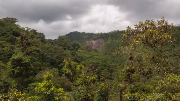 Time Lapse Video Bos Bomen Wolken Lucht Bewegen — Stockvideo