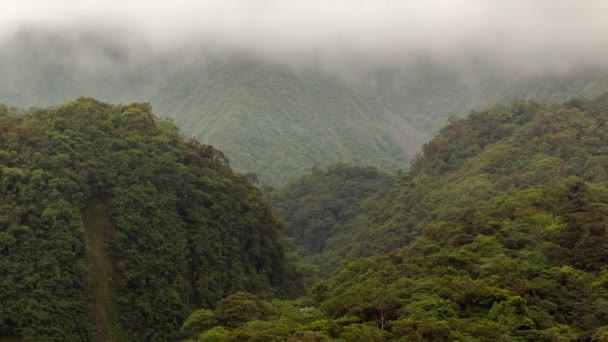 Vídeo Lapso Tempo Floresta Tropical Névoa Amanhecer Amazônia Equatoriana — Vídeo de Stock