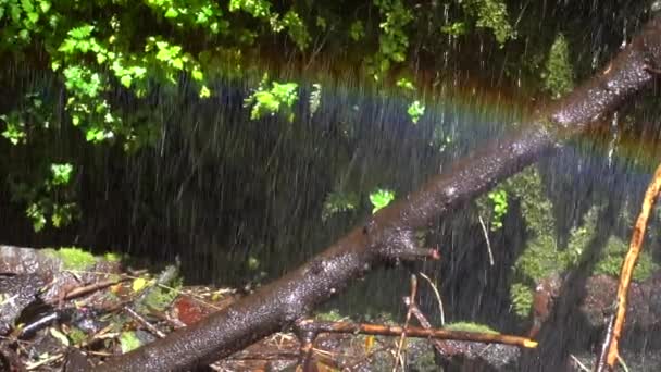 Vídeo Câmera Lenta Cachoeira Com Arco Íris Salpicos Água — Vídeo de Stock