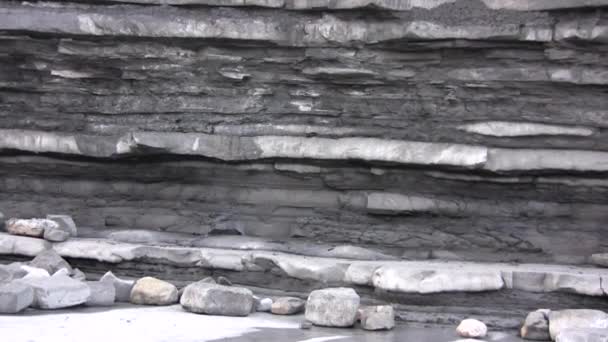 Video Grey Cliff Surface Texture — Stock Video