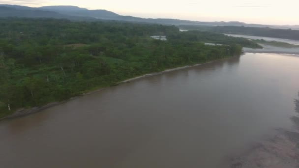 Vídeo Aéreo Sobre Floresta Tropical Rio — Vídeo de Stock