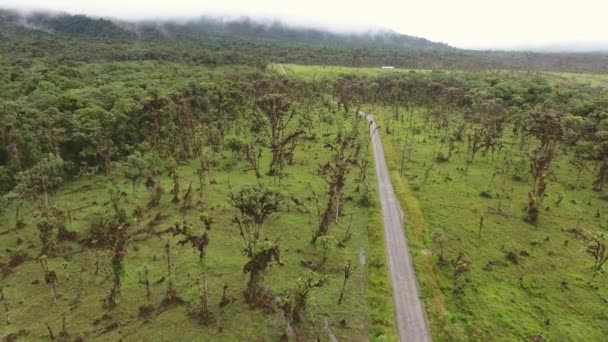 Vista Aérea Vídeo Paisaje Verde Con Árboles Carretera — Vídeos de Stock