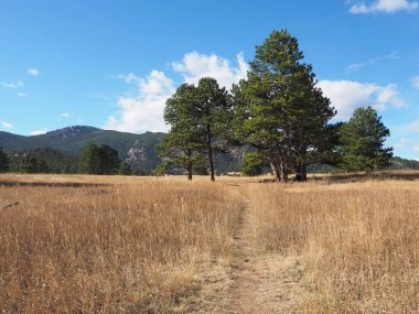 Evergreen, Colorado 'da elk Meadow Park