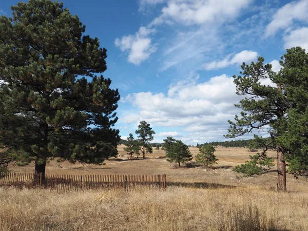 Elk Meadow Park in Evergreen, Colorado — Stock Photo, Image