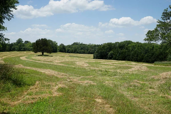 Large mowed field — Stock Photo, Image