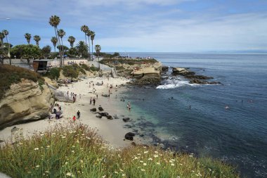 La jolla cove California