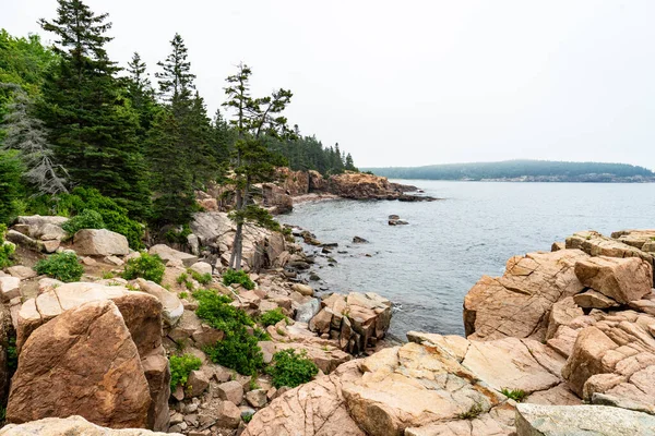Rugged Granite Rocks Lush Green Trees Line Maine Coast Acadia — Stock Photo, Image
