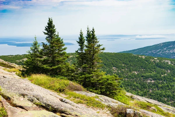 Vista Desde Cima Montaña Cadillac Parque Nacional Acadia Imágenes De Stock Sin Royalties Gratis