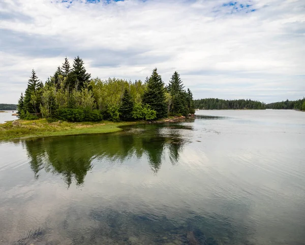 Bäume Umgeben Eine Bucht Auf Der Halbinsel Schoodic Acadia Nationalpark — Stockfoto