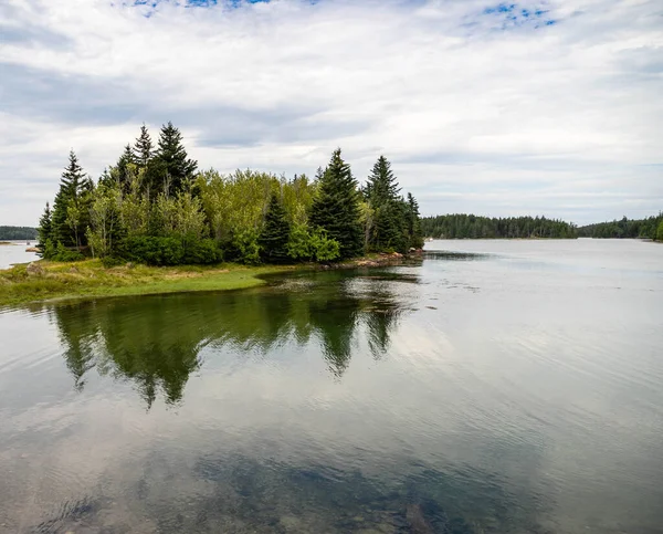 Árvores Cercam Uma Enseada Península Escolódica Parque Nacional Acadia Maine — Fotografia de Stock