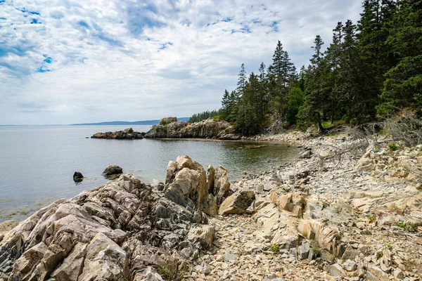 Drzewa Otaczają Zatokę Półwyspie Szkolnym Parku Narodowym Acadia Maine — Zdjęcie stockowe