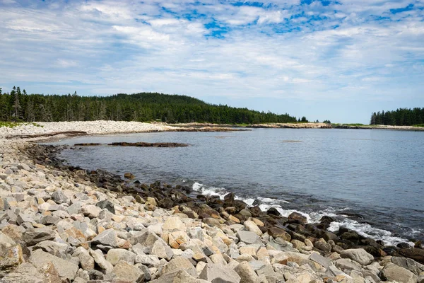Bomen Zandstenen Omringen Een Inham Het Schoodic Peninsula Het Acadia — Stockfoto