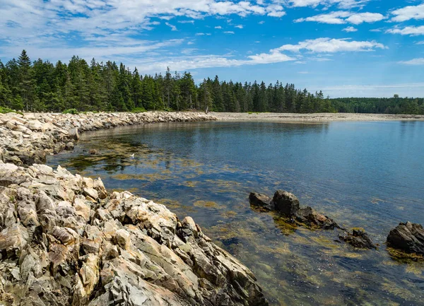 Árboles Rodean Una Cala Península Schoodic Parque Nacional Acadia Maine Imagen De Stock
