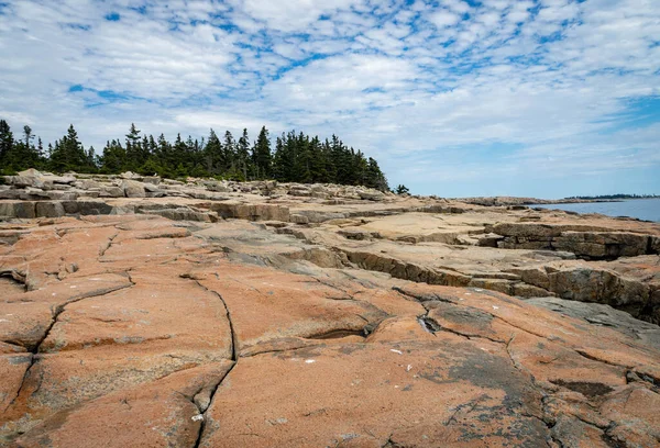 Acadia Ulusal Parkı Ndaki Schoodic Point Ağaçlar Granit Kayalar Stok Fotoğraf