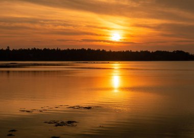 Maine 'de bir koyda güzel bir gün batımı.