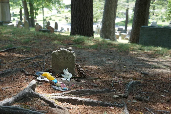 Tombstone Henry David Thoreau Nel Cimitero Sleepy Hollow Concord Massachusetts — Foto Stock